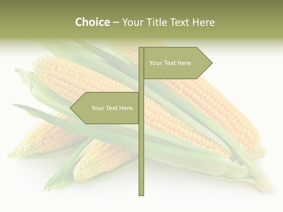 Grain Wet Nutrition PowerPoint Template
