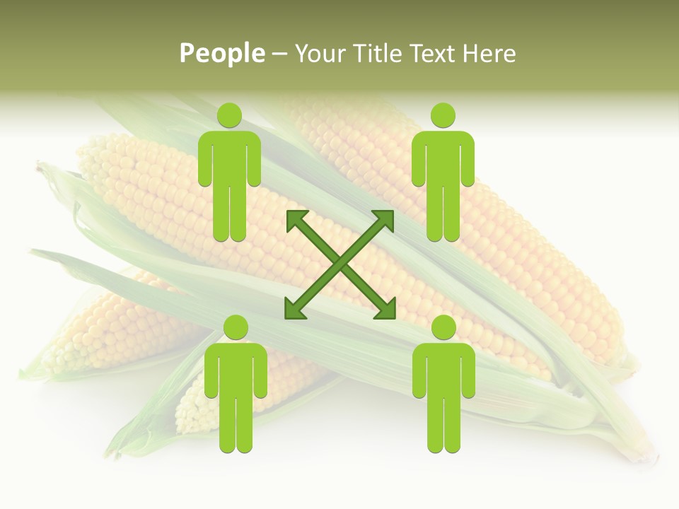 Grain Wet Nutrition PowerPoint Template