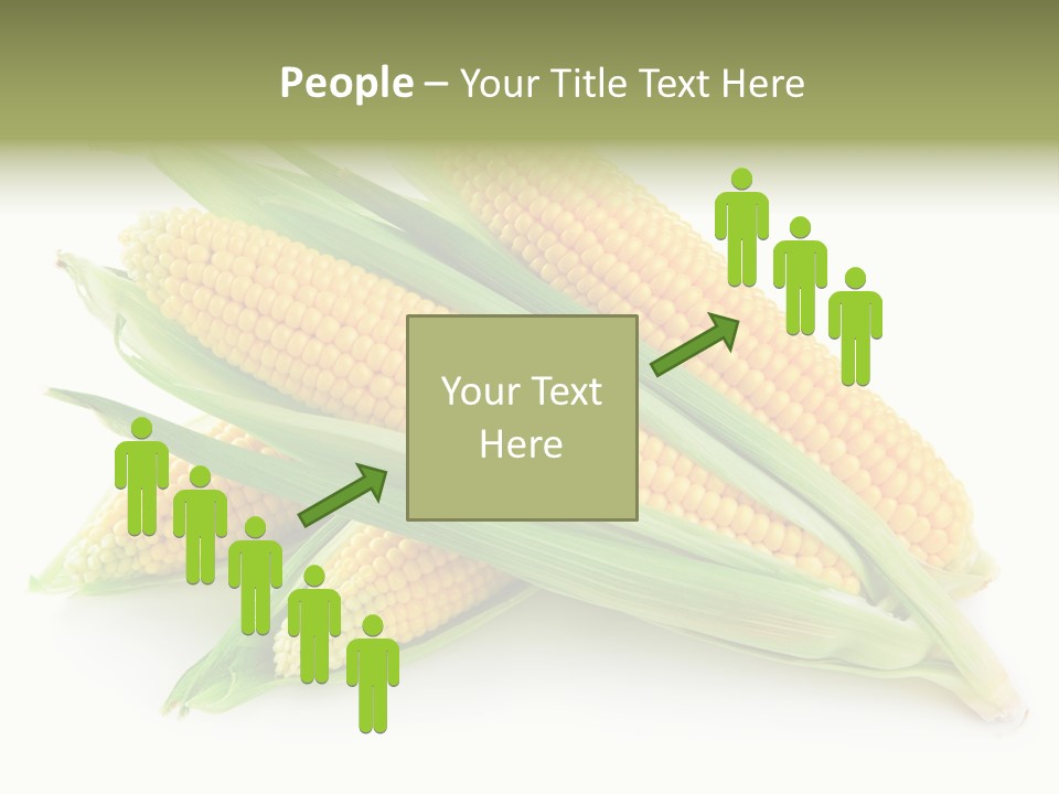 Grain Wet Nutrition PowerPoint Template