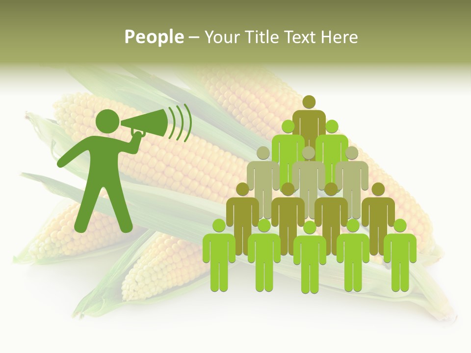 Grain Wet Nutrition PowerPoint Template