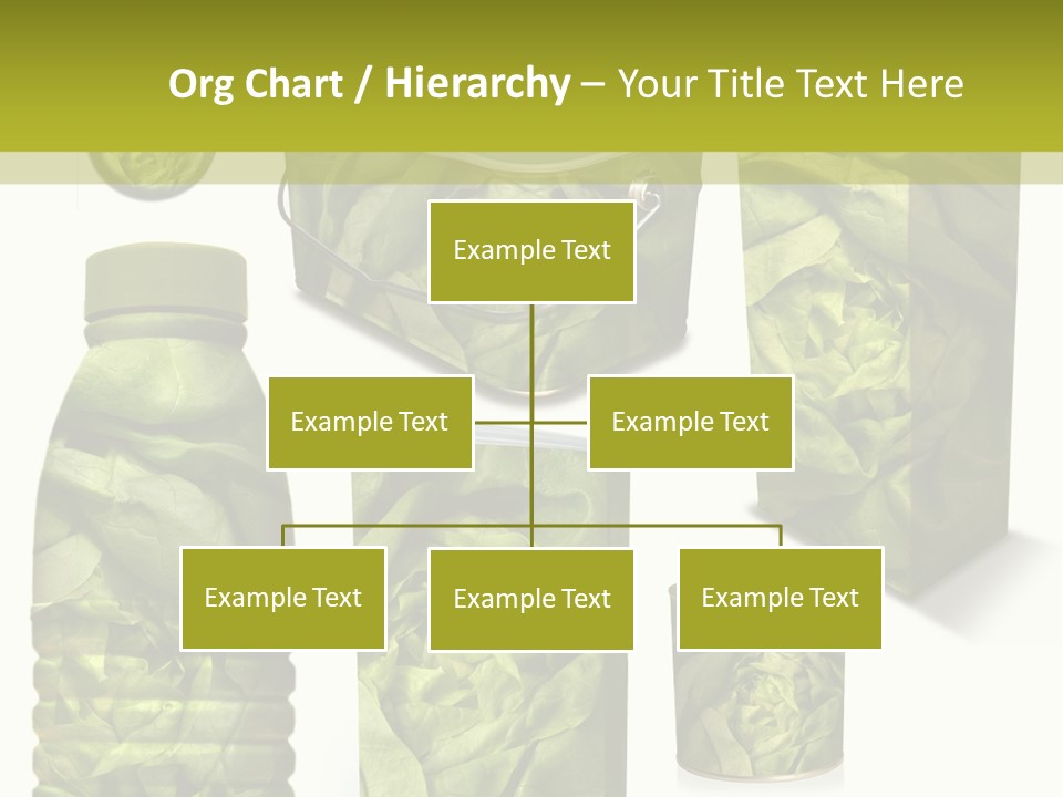 Vert Collection Conditionnement PowerPoint Template