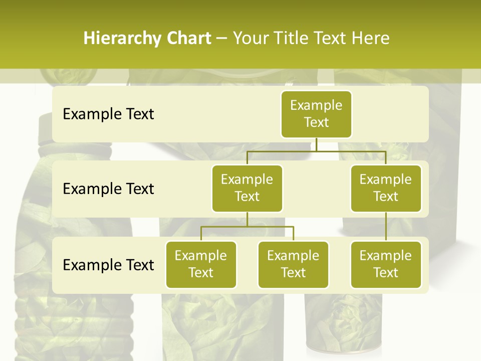 Vert Collection Conditionnement PowerPoint Template