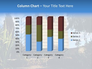 Flavor New Board PowerPoint Template