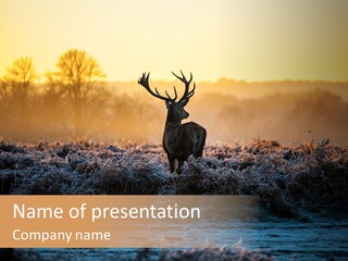 Purple Fog Moor PowerPoint Template