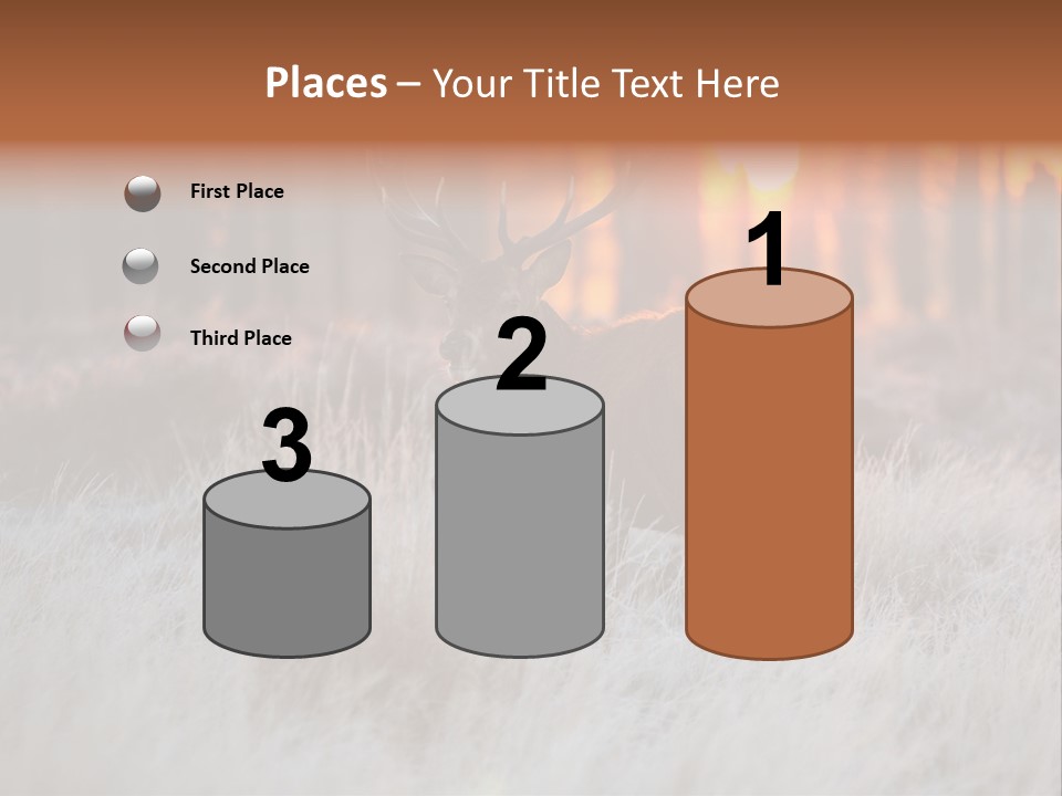 Hoge Veluwe Holland Safari PowerPoint Template