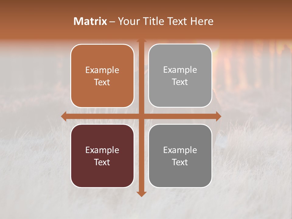 Hoge Veluwe Holland Safari PowerPoint Template