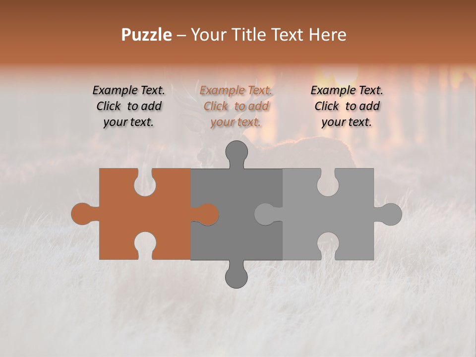 Hoge Veluwe Holland Safari PowerPoint Template