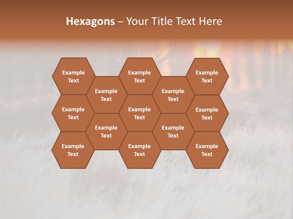 Hoge Veluwe Holland Safari PowerPoint Template