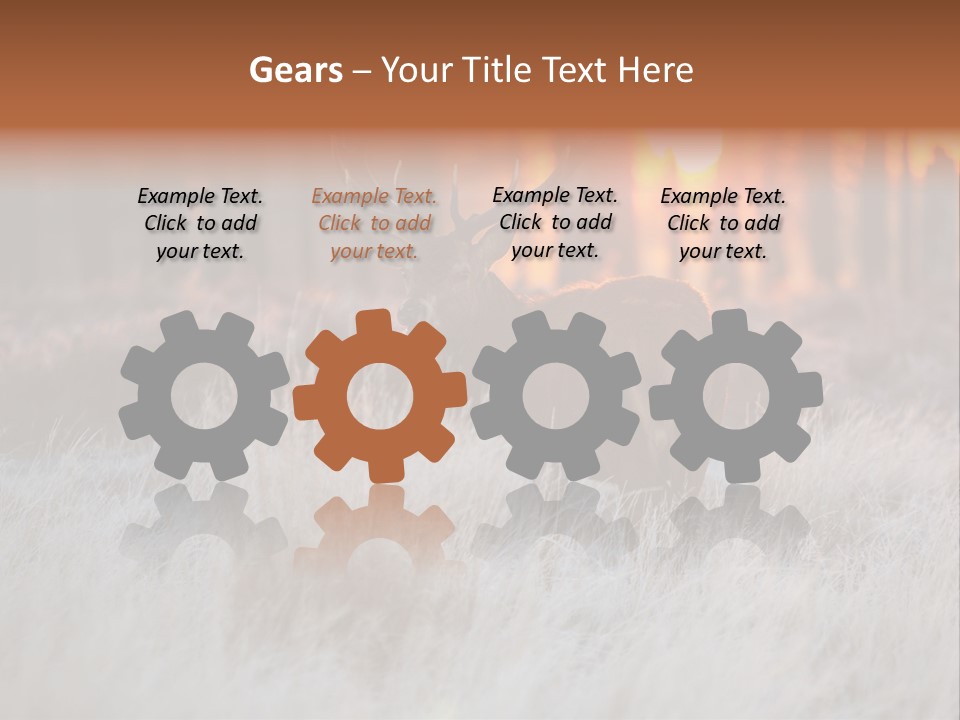 Hoge Veluwe Holland Safari PowerPoint Template