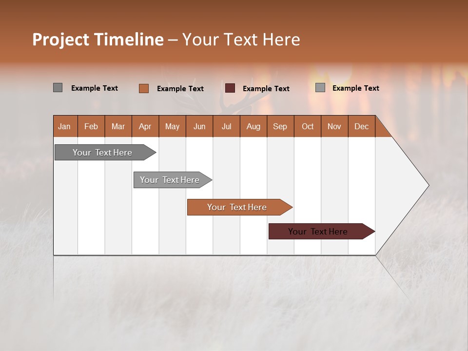 Hoge Veluwe Holland Safari PowerPoint Template