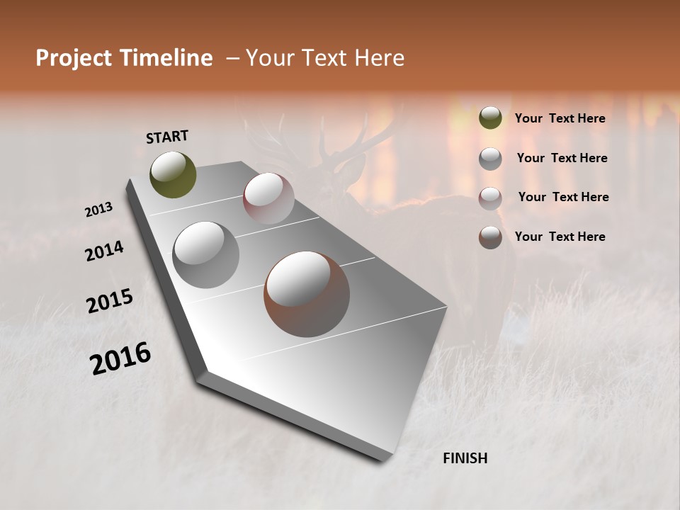 Hoge Veluwe Holland Safari PowerPoint Template
