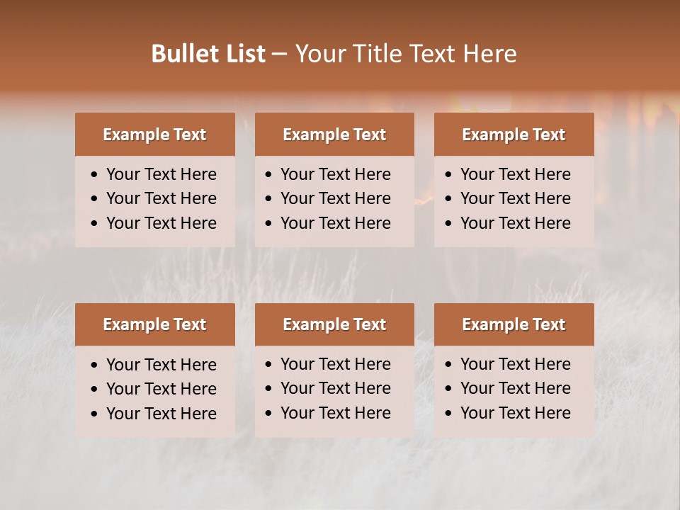 Hoge Veluwe Holland Safari PowerPoint Template