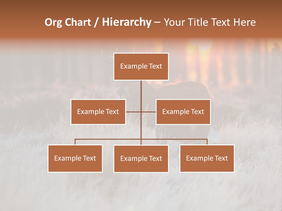 Hoge Veluwe Holland Safari PowerPoint Template