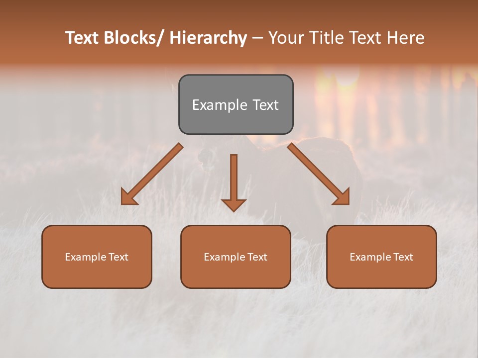 Hoge Veluwe Holland Safari PowerPoint Template