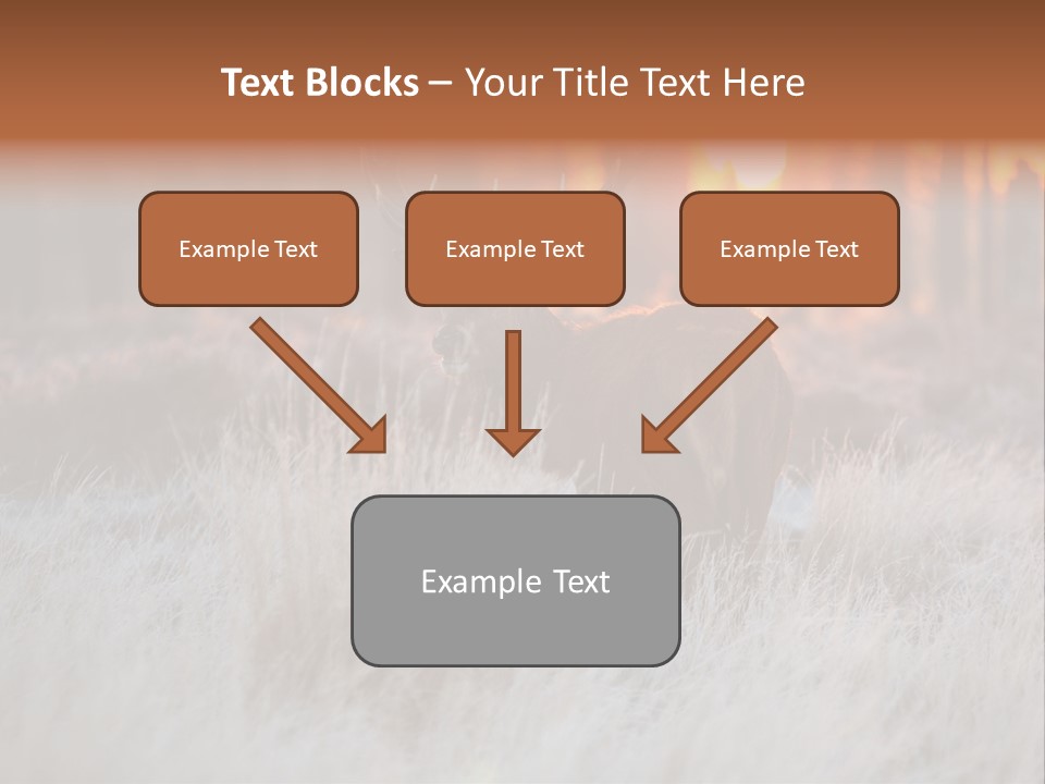 Hoge Veluwe Holland Safari PowerPoint Template