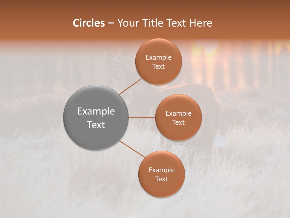 Hoge Veluwe Holland Safari PowerPoint Template