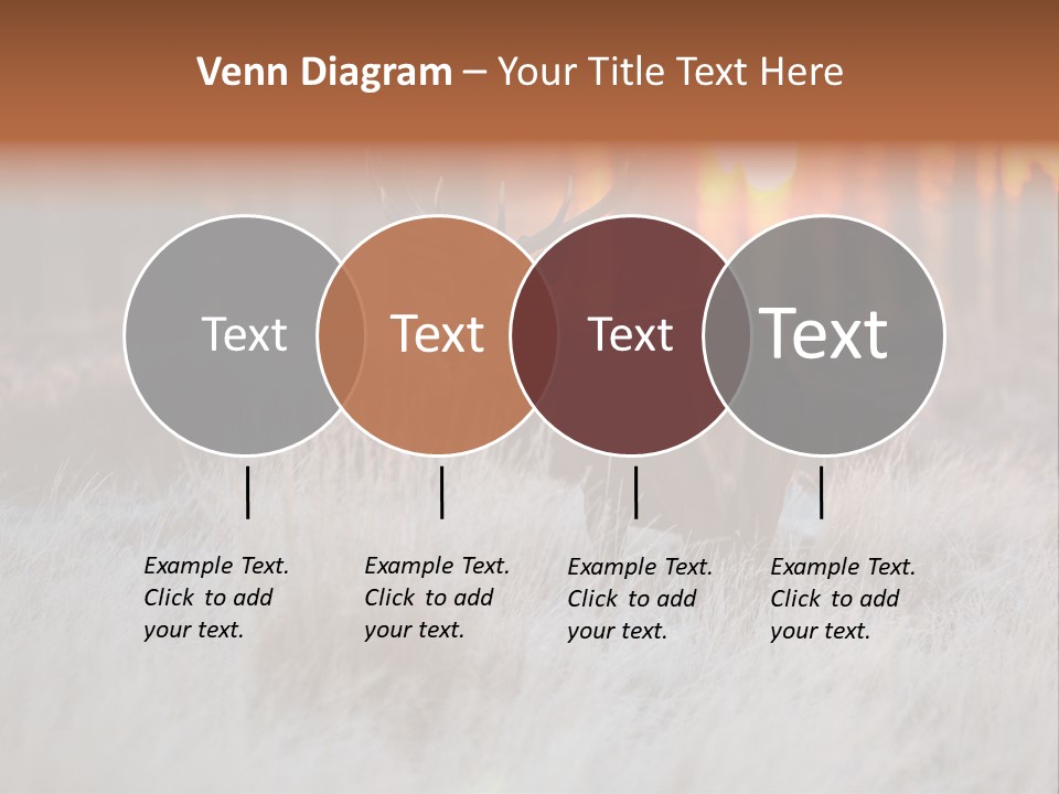 Hoge Veluwe Holland Safari PowerPoint Template