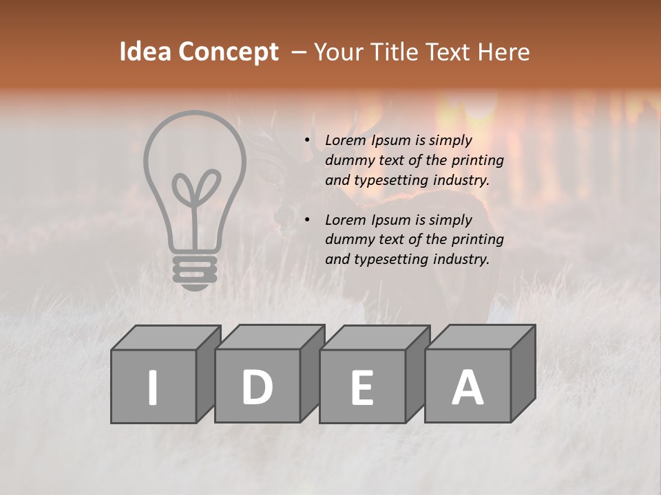 Hoge Veluwe Holland Safari PowerPoint Template