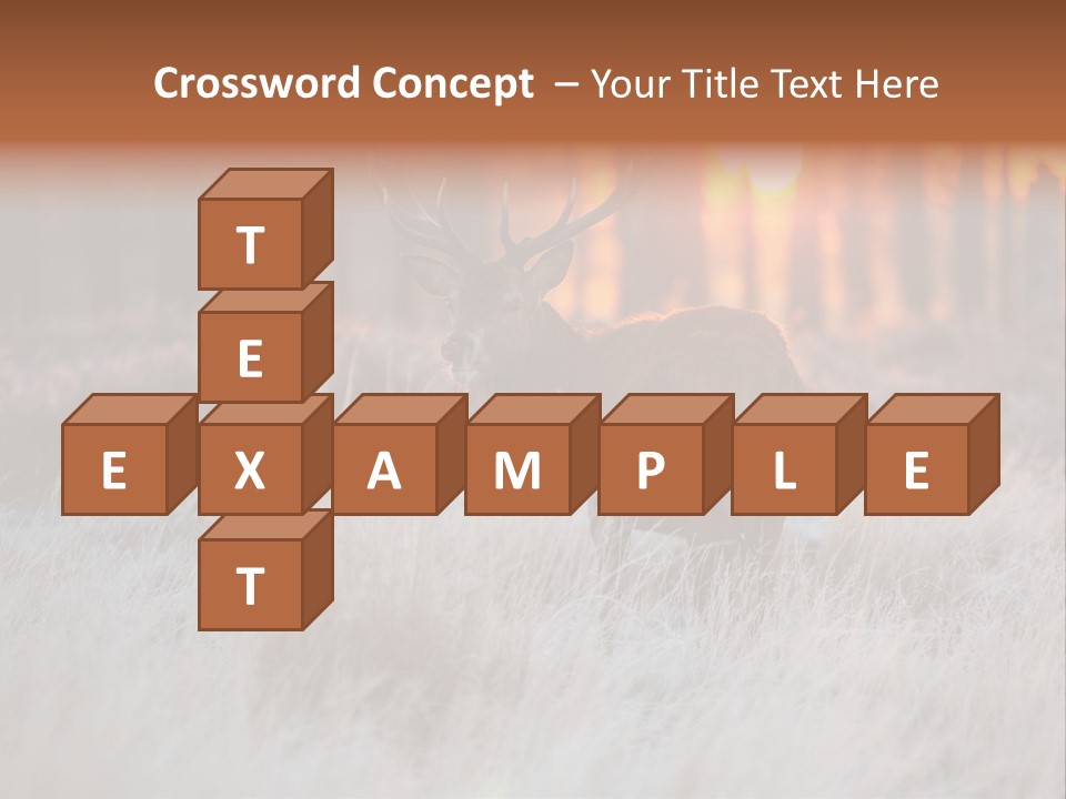 Hoge Veluwe Holland Safari PowerPoint Template