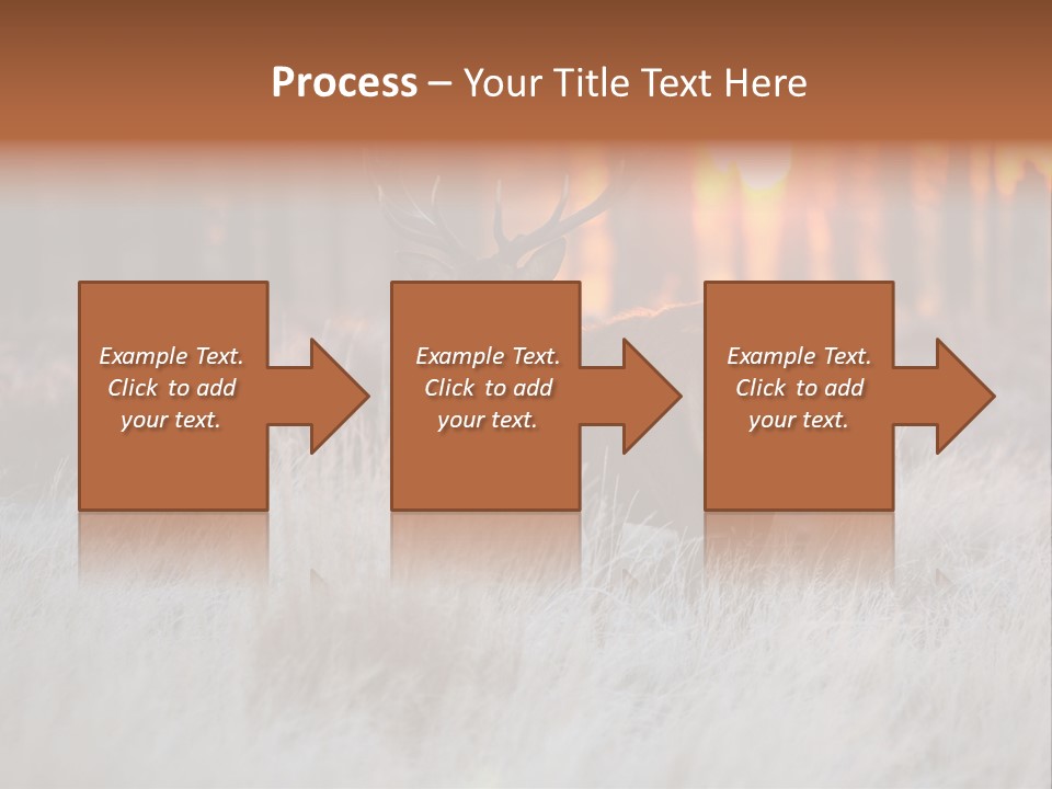 Hoge Veluwe Holland Safari PowerPoint Template