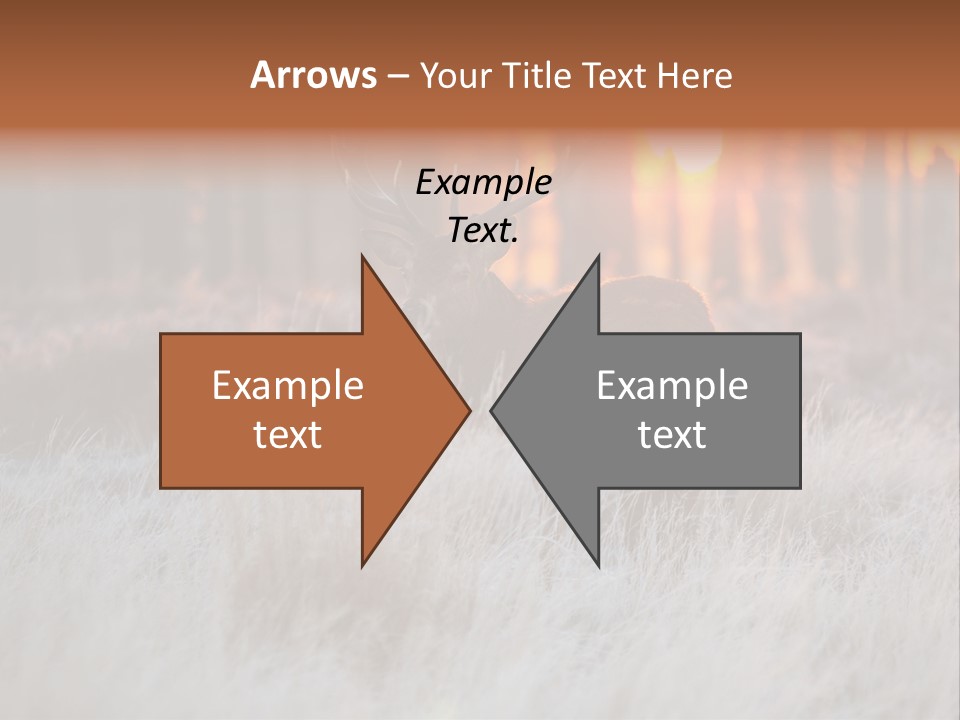 Hoge Veluwe Holland Safari PowerPoint Template