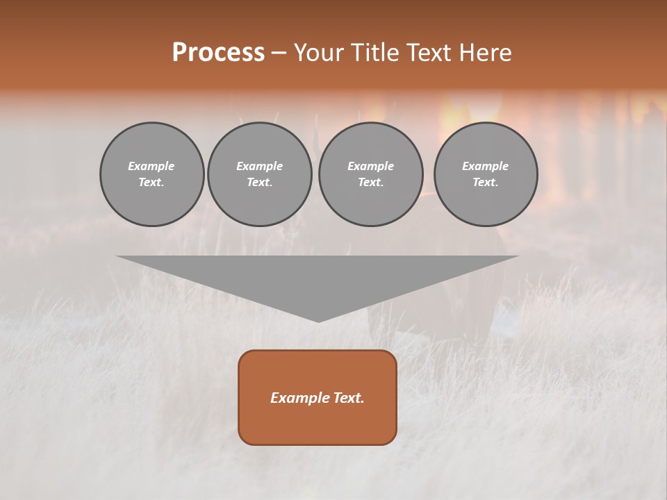 Hoge Veluwe Holland Safari PowerPoint Template