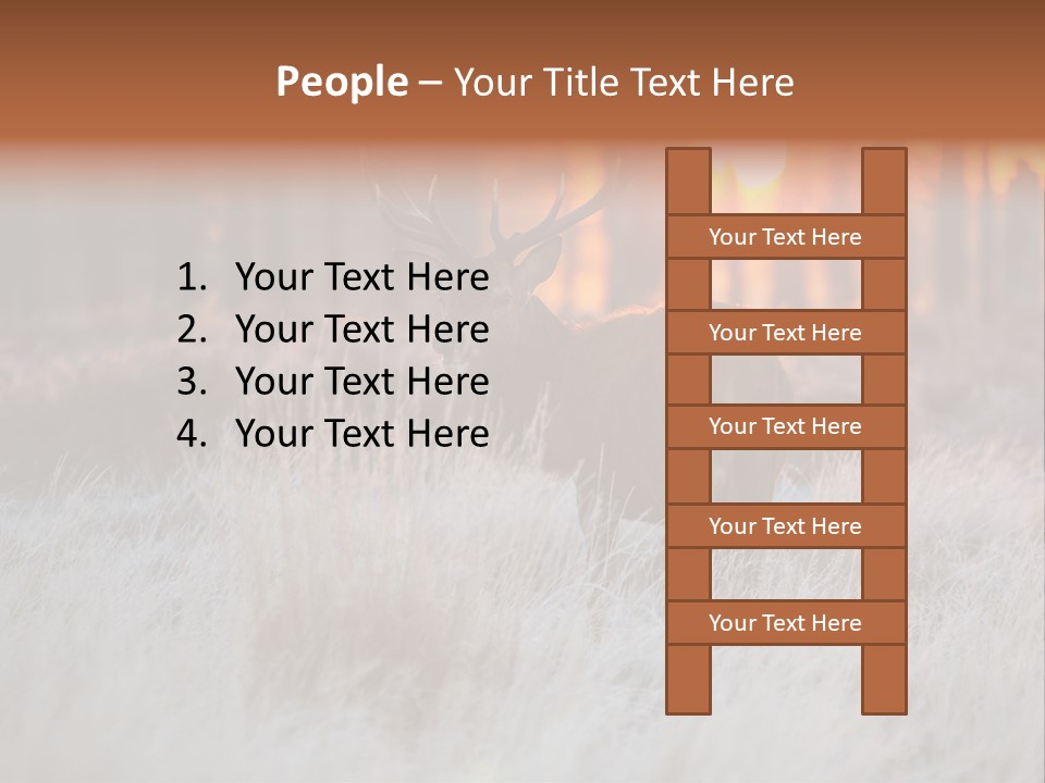 Hoge Veluwe Holland Safari PowerPoint Template
