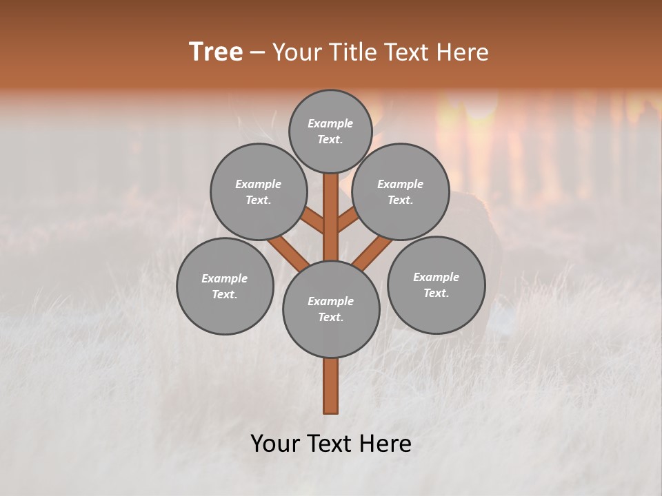 Hoge Veluwe Holland Safari PowerPoint Template