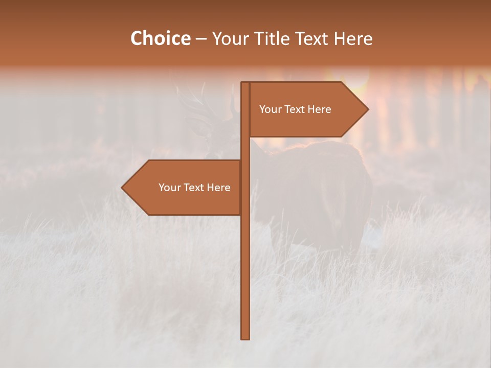 Hoge Veluwe Holland Safari PowerPoint Template