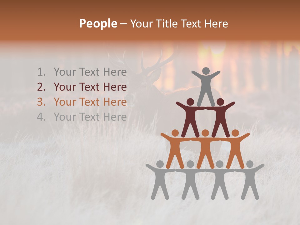 Hoge Veluwe Holland Safari PowerPoint Template