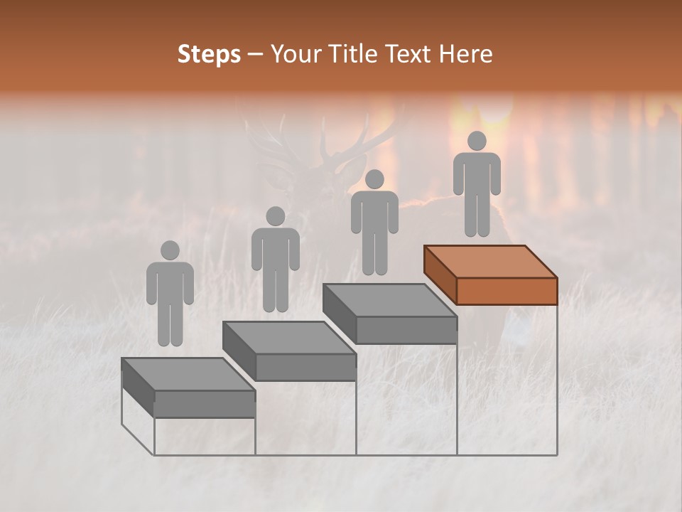 Hoge Veluwe Holland Safari PowerPoint Template