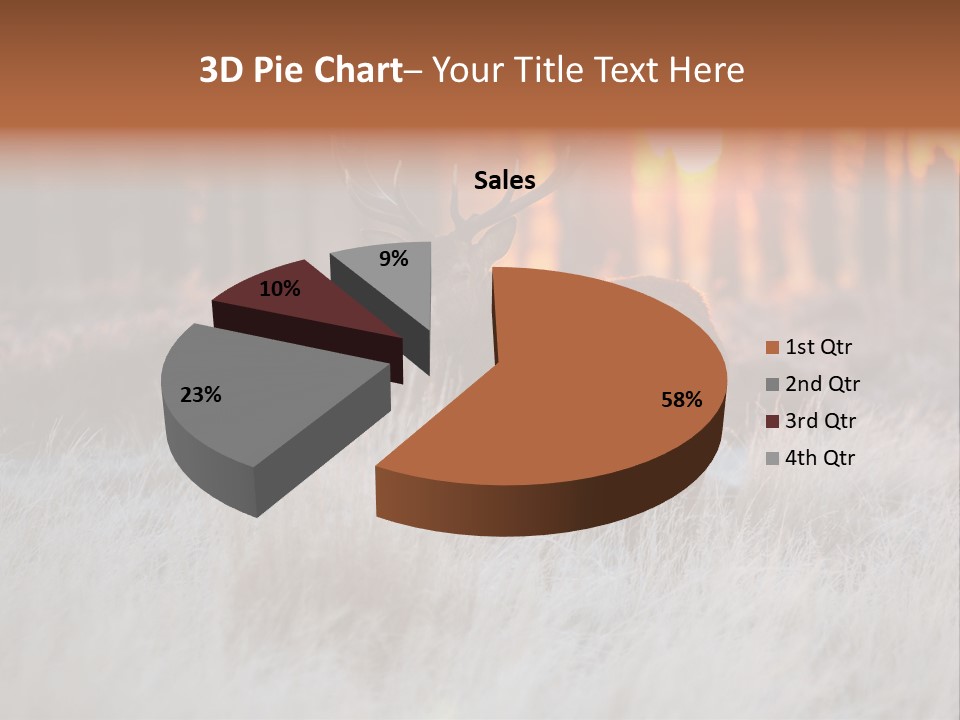Hoge Veluwe Holland Safari PowerPoint Template