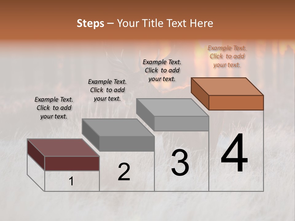 Hoge Veluwe Holland Safari PowerPoint Template