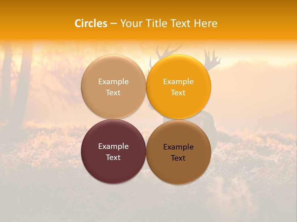 Cervus Elaphus Orange Antler PowerPoint Template