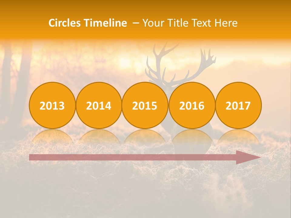 Cervus Elaphus Orange Antler PowerPoint Template