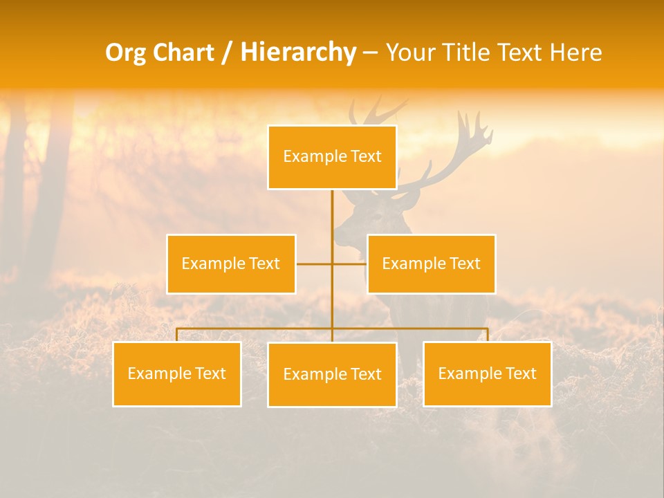 Cervus Elaphus Orange Antler PowerPoint Template