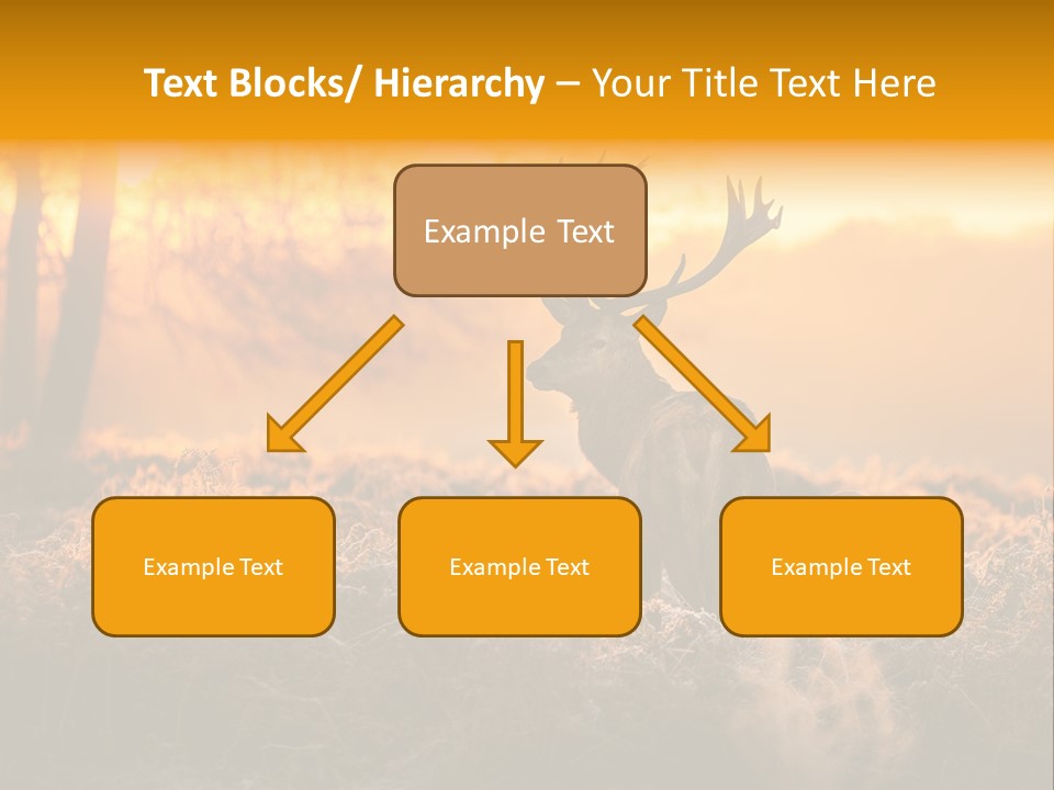 Cervus Elaphus Orange Antler PowerPoint Template