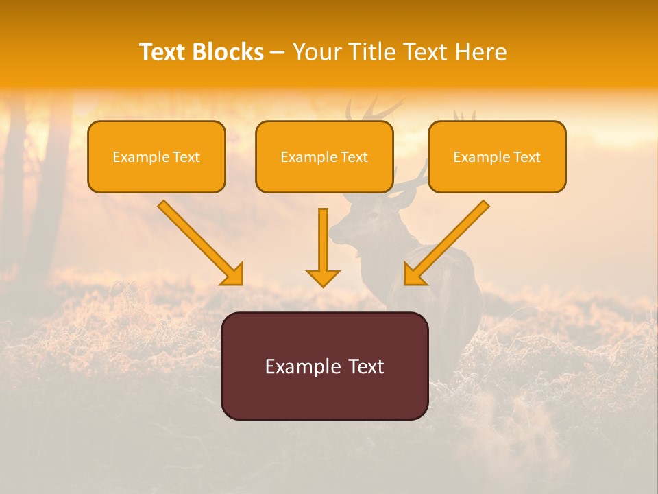 Cervus Elaphus Orange Antler PowerPoint Template