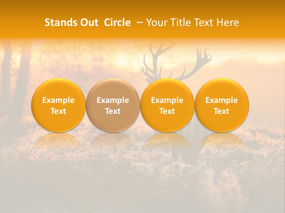 Cervus Elaphus Orange Antler PowerPoint Template