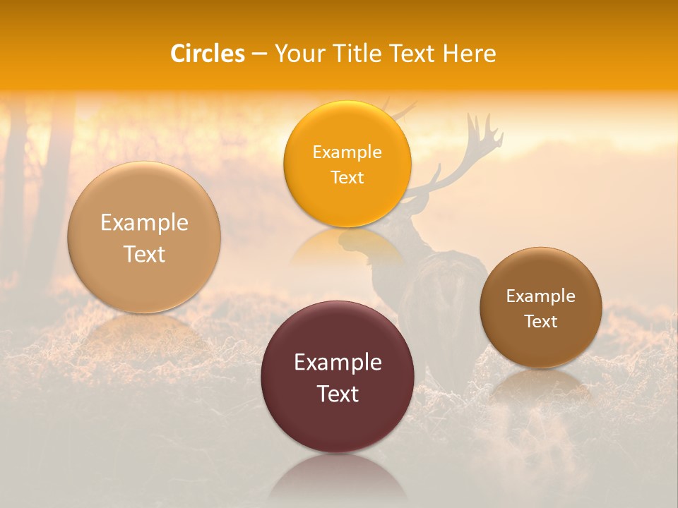 Cervus Elaphus Orange Antler PowerPoint Template