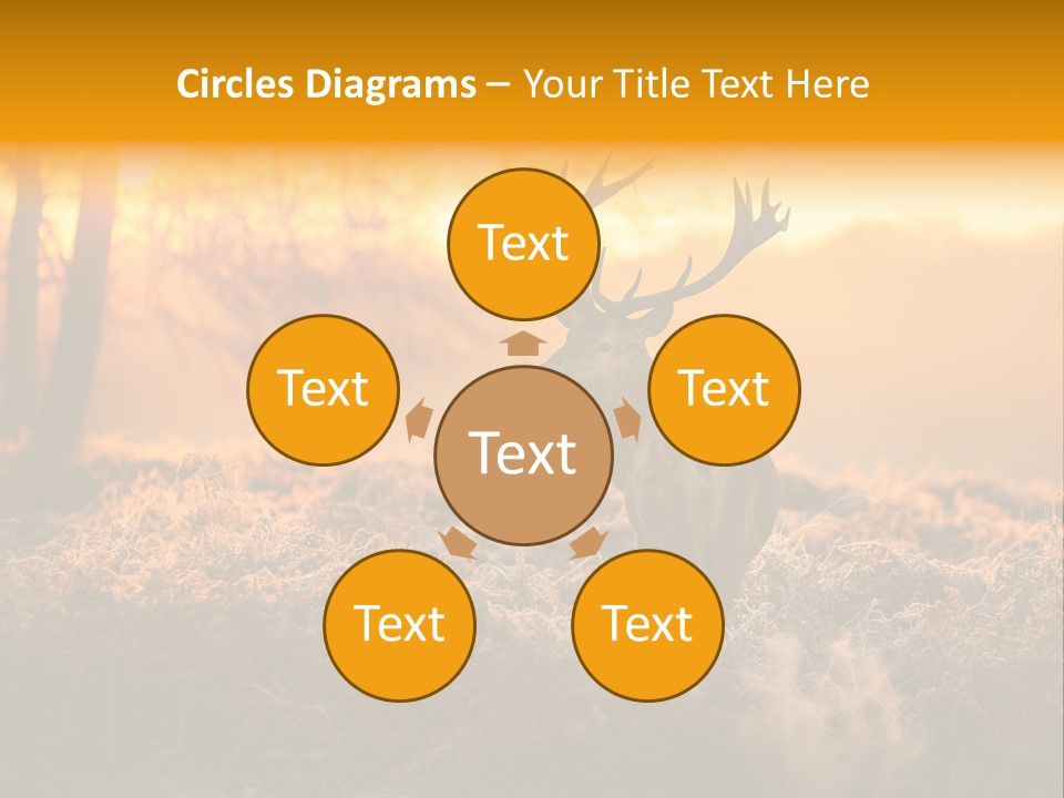 Cervus Elaphus Orange Antler PowerPoint Template