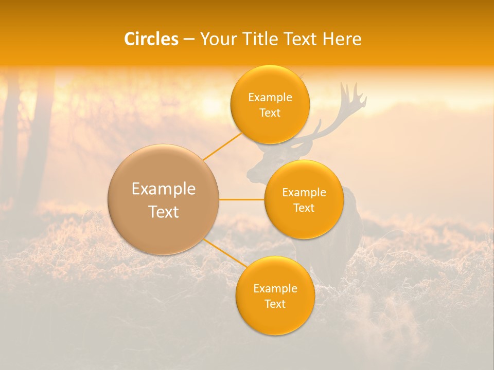 Cervus Elaphus Orange Antler PowerPoint Template
