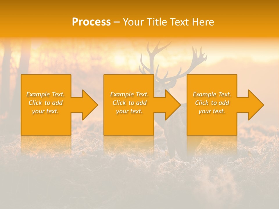 Cervus Elaphus Orange Antler PowerPoint Template