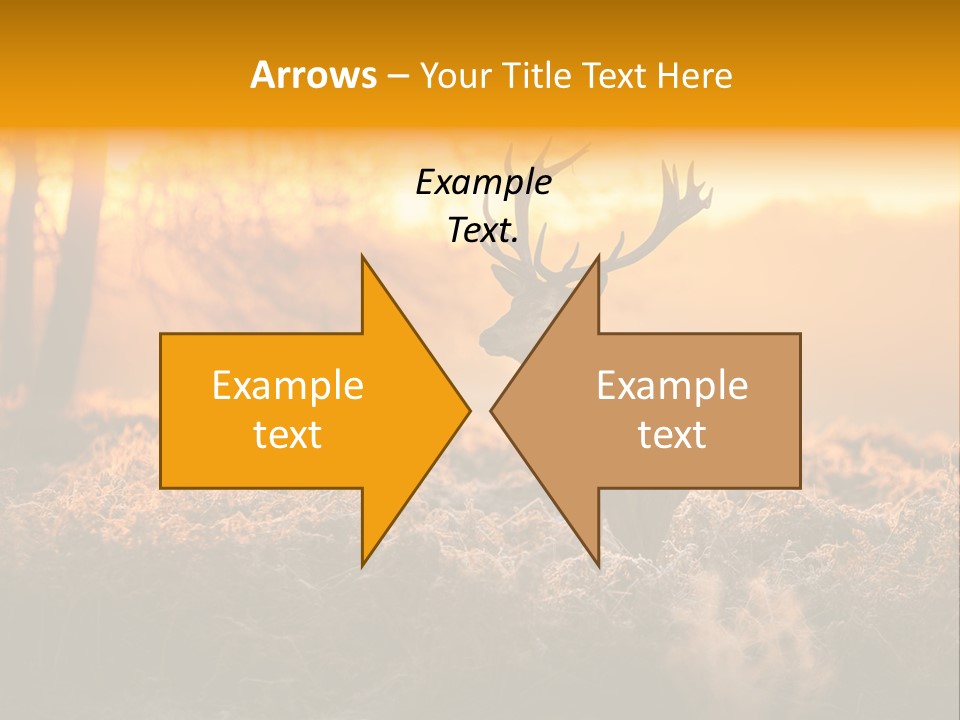 Cervus Elaphus Orange Antler PowerPoint Template