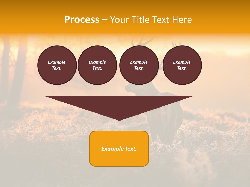 Cervus Elaphus Orange Antler PowerPoint Template