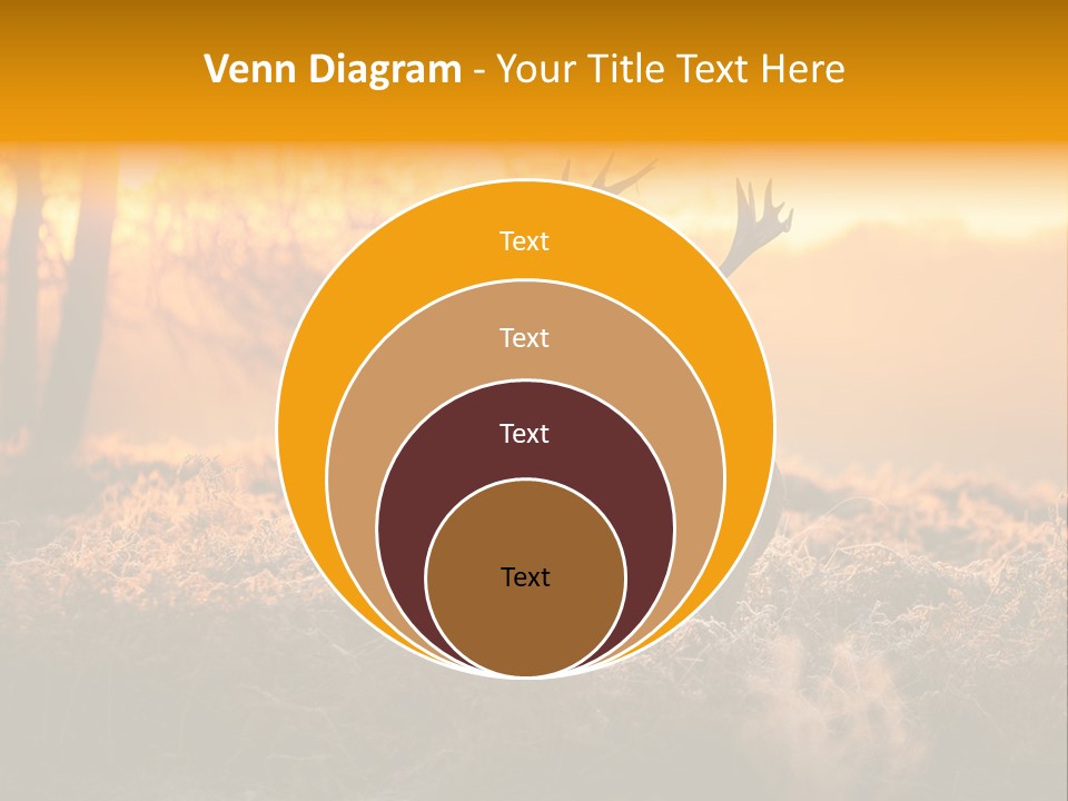 Cervus Elaphus Orange Antler PowerPoint Template