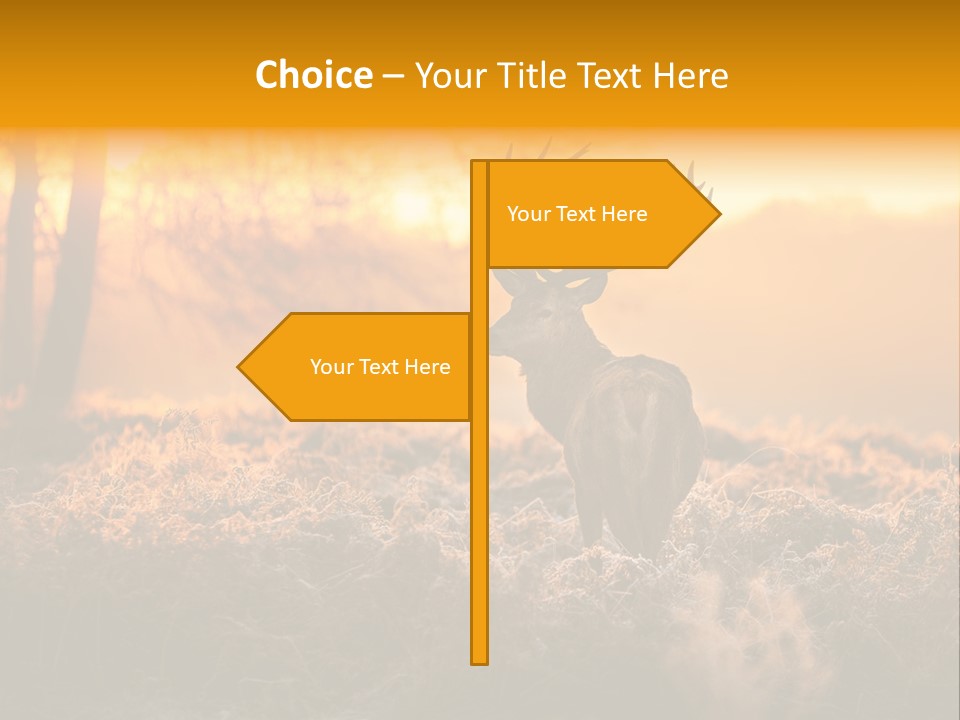 Cervus Elaphus Orange Antler PowerPoint Template