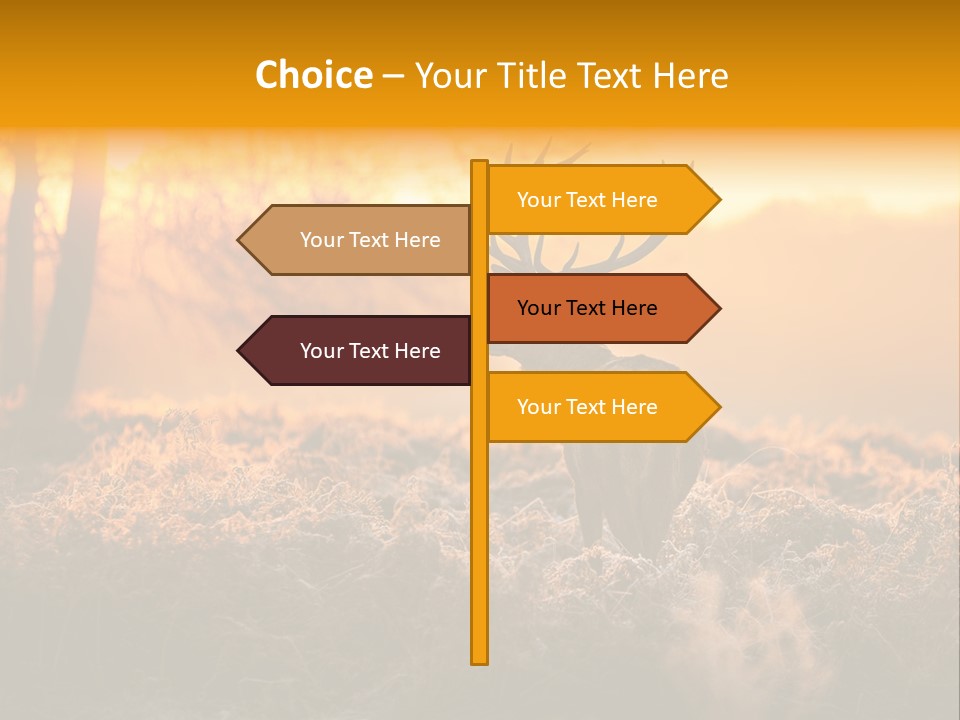 Cervus Elaphus Orange Antler PowerPoint Template
