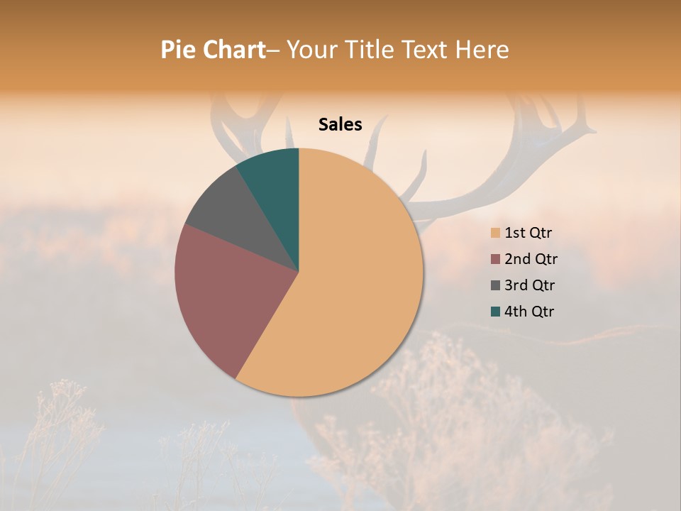Trees Moor Safari PowerPoint Template