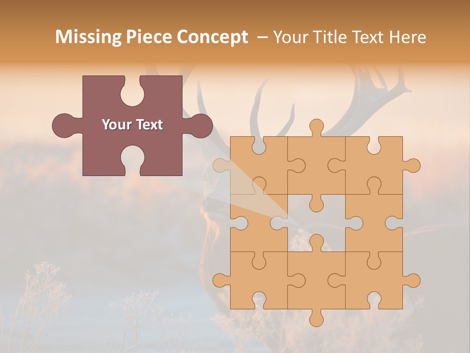 Trees Moor Safari PowerPoint Template